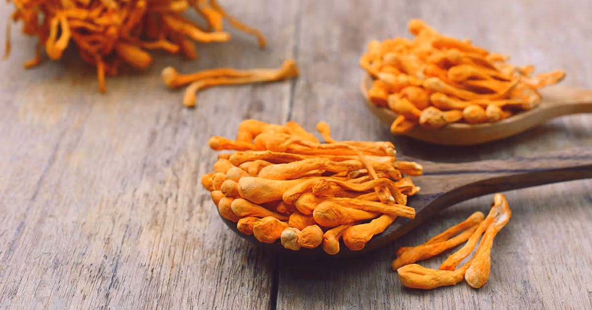 🌱 Cordyceps